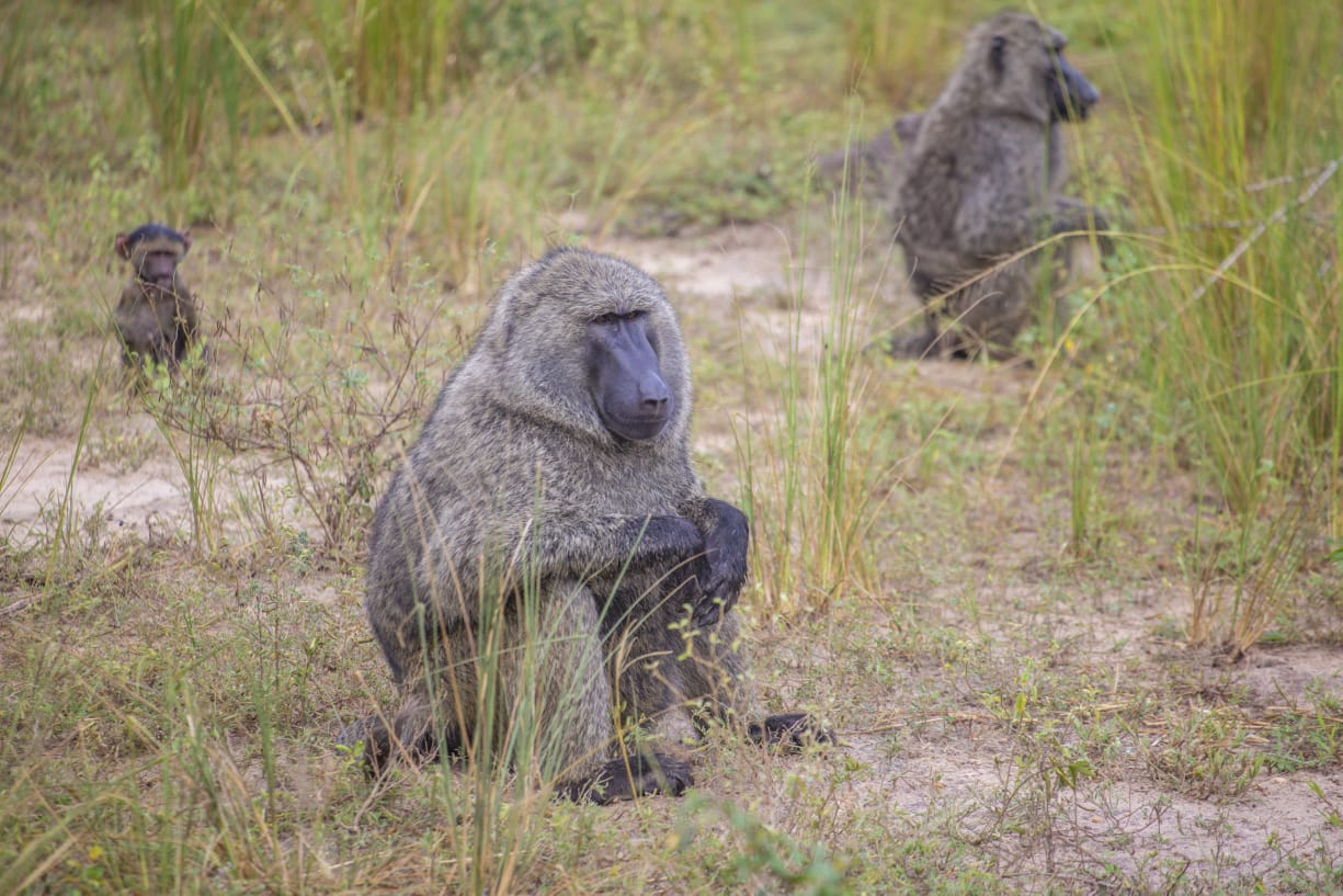 Uganda adventure