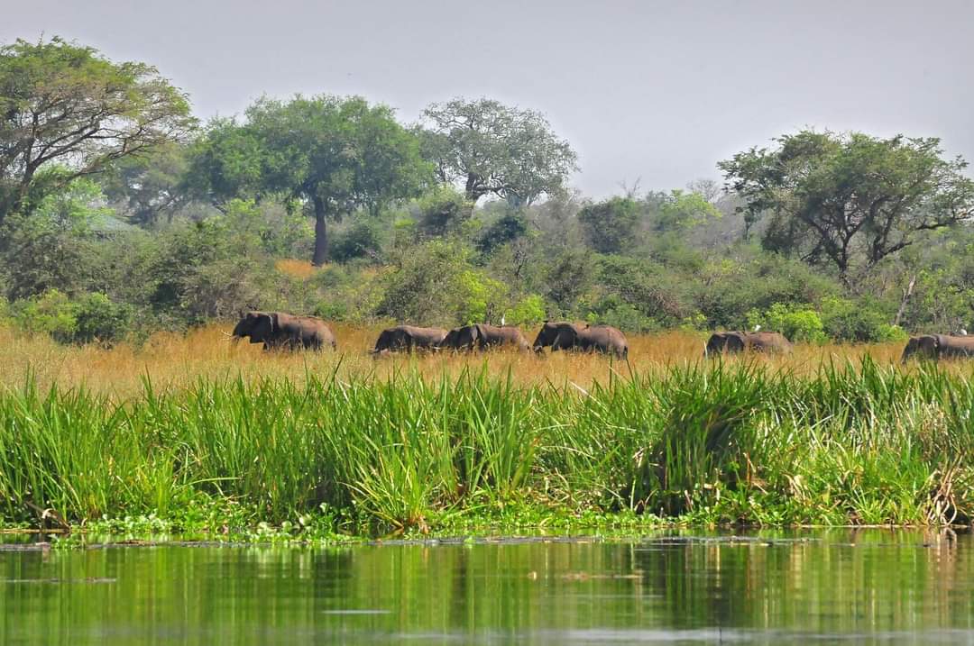 Uganda adventure