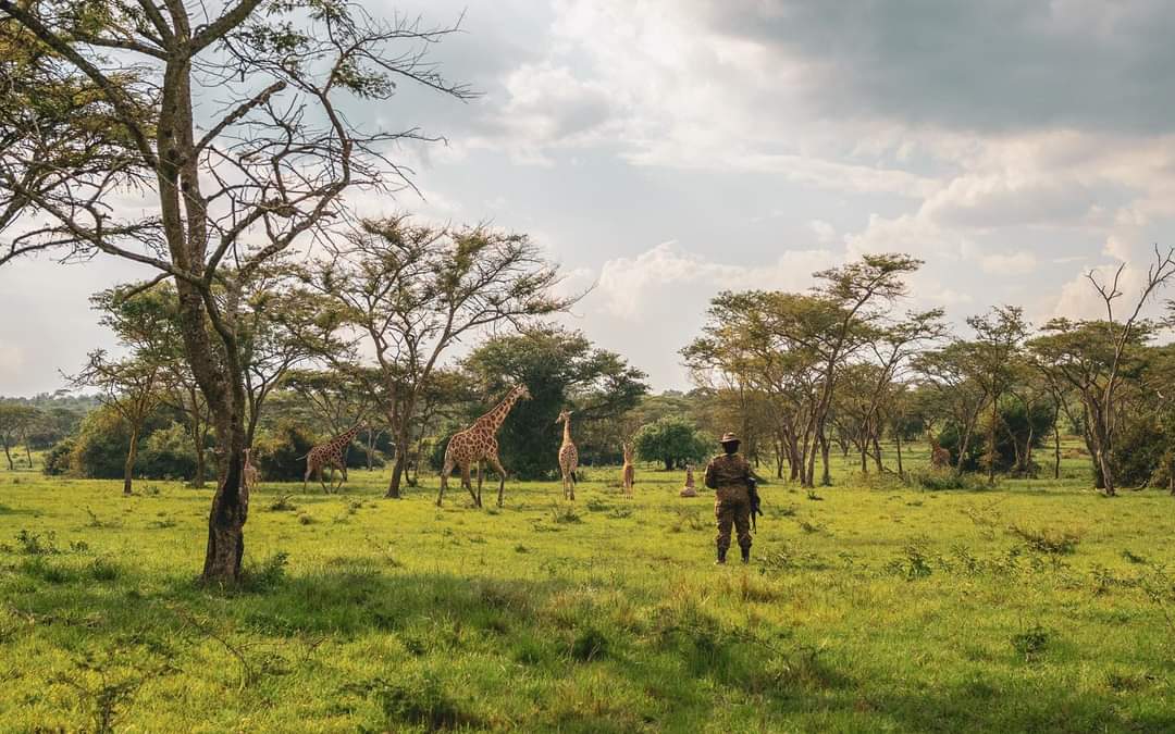 Uganda adventure