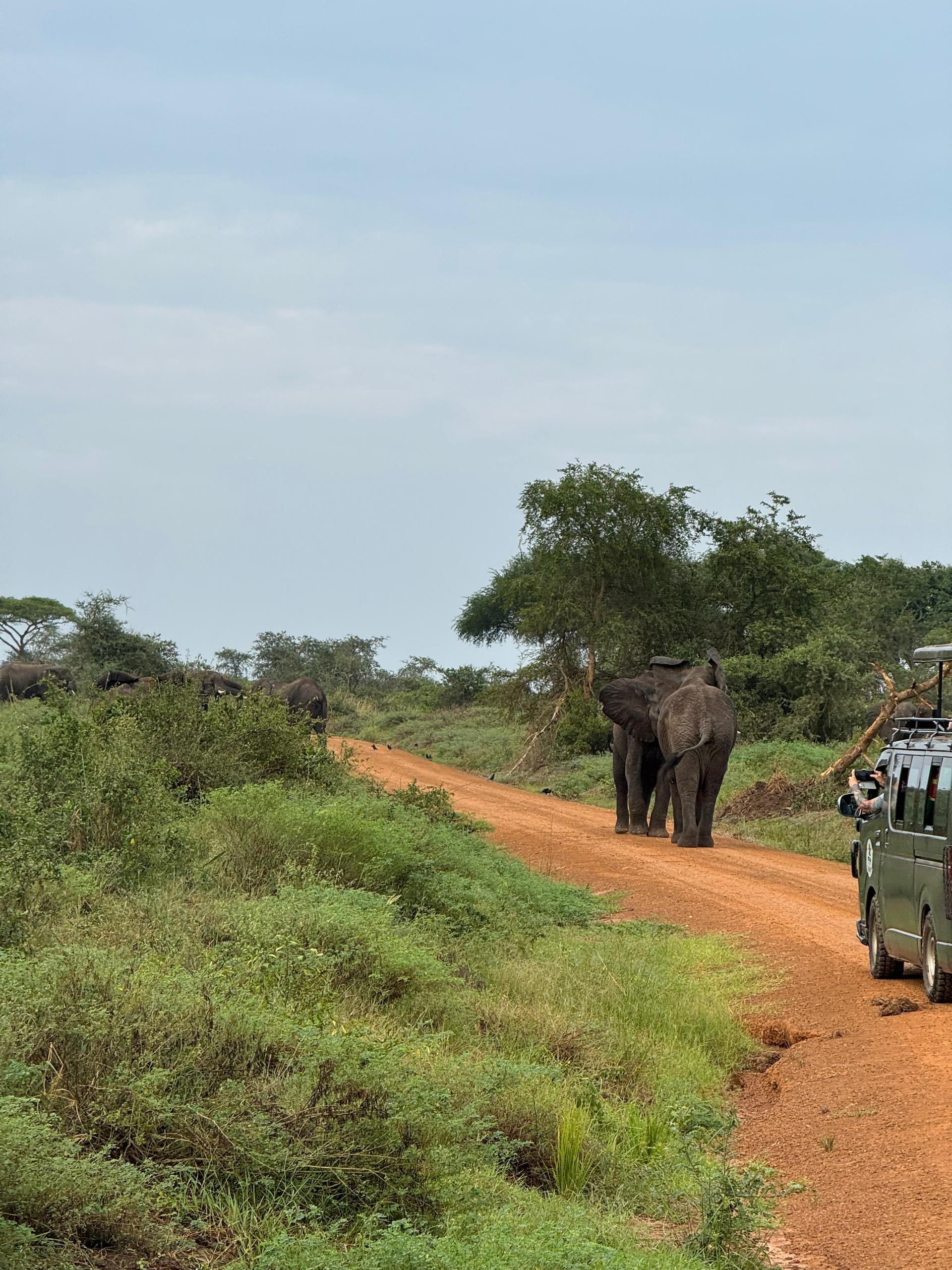 Uganda adventure