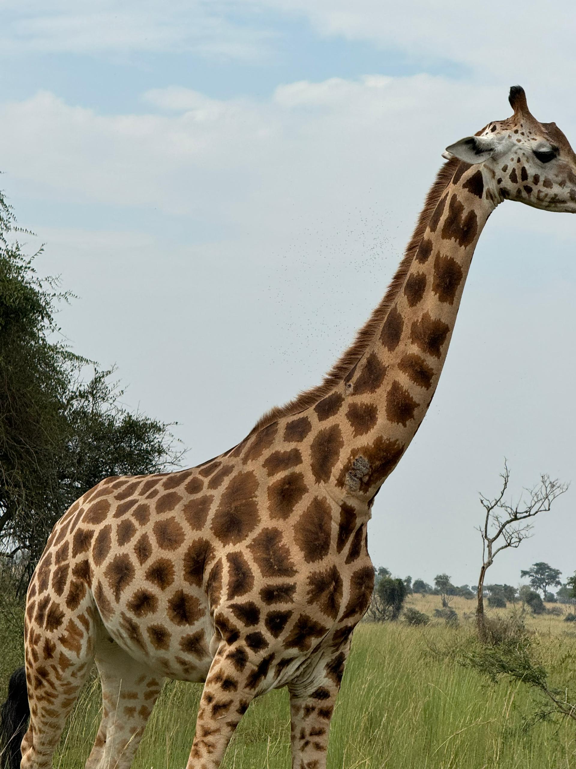 Uganda adventure