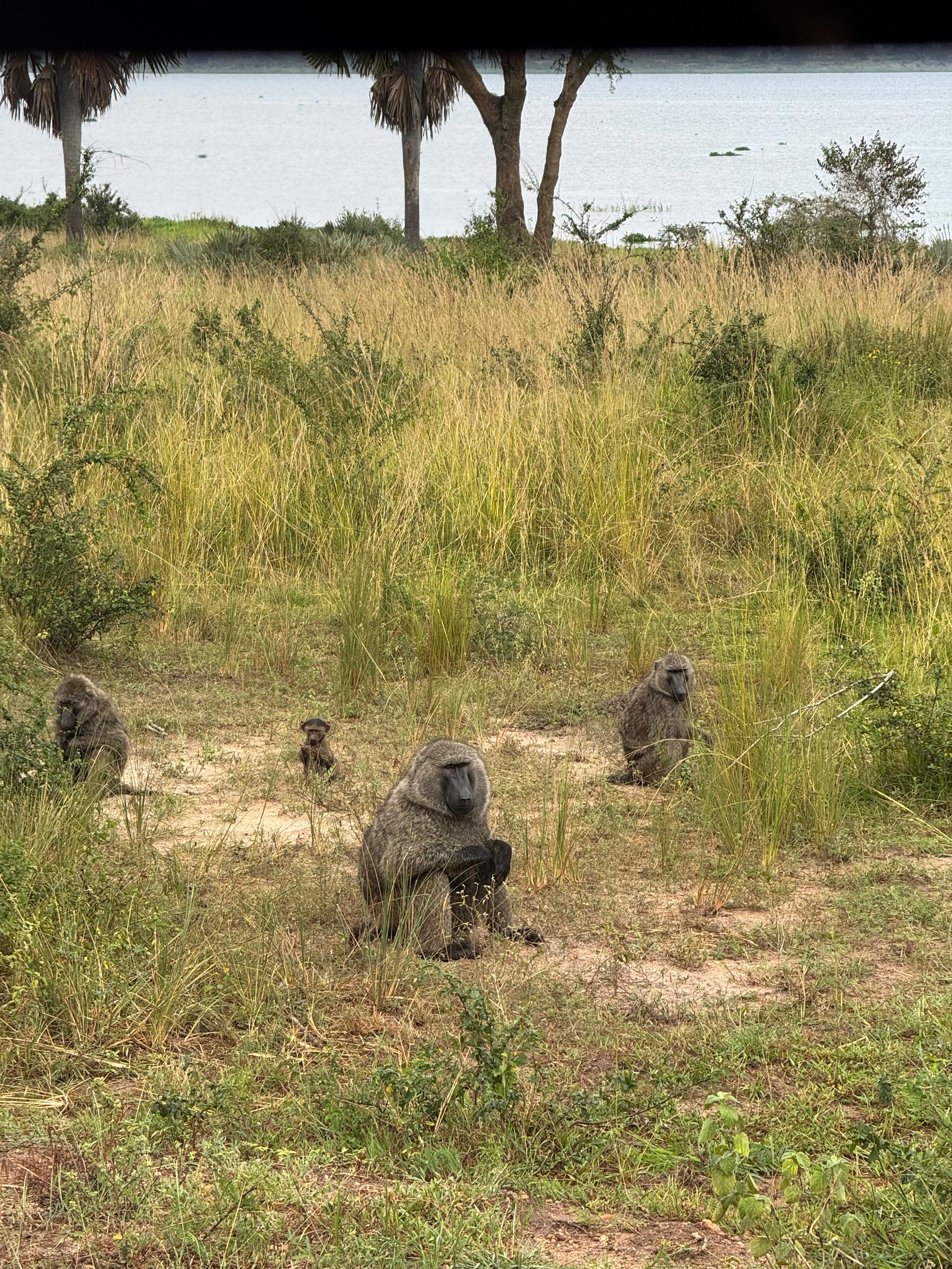 Uganda adventure