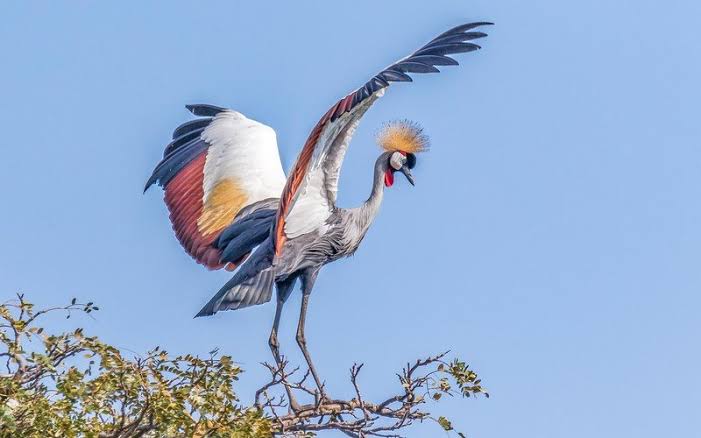 Uganda adventure