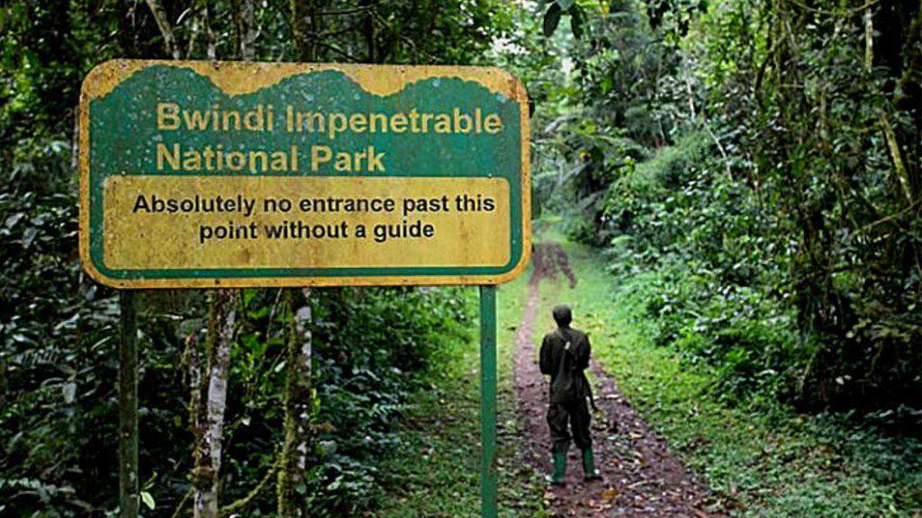 Uganda adventure